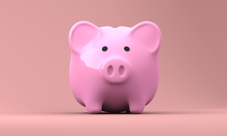 A pink piggy bank, on a coral background 