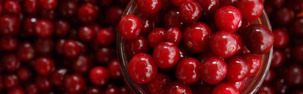 A bowl of cranberries 